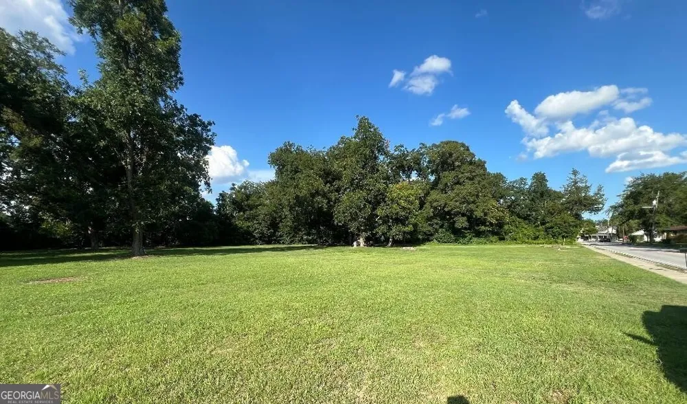 6 Denmark ST Statesboro, GA 30458