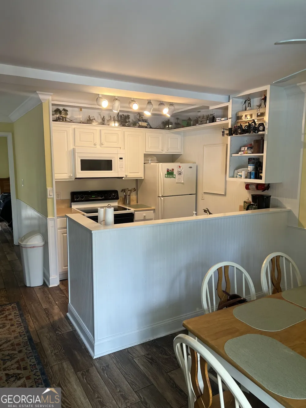 1175 N Beachview DR Jekyll Island, GA 31527