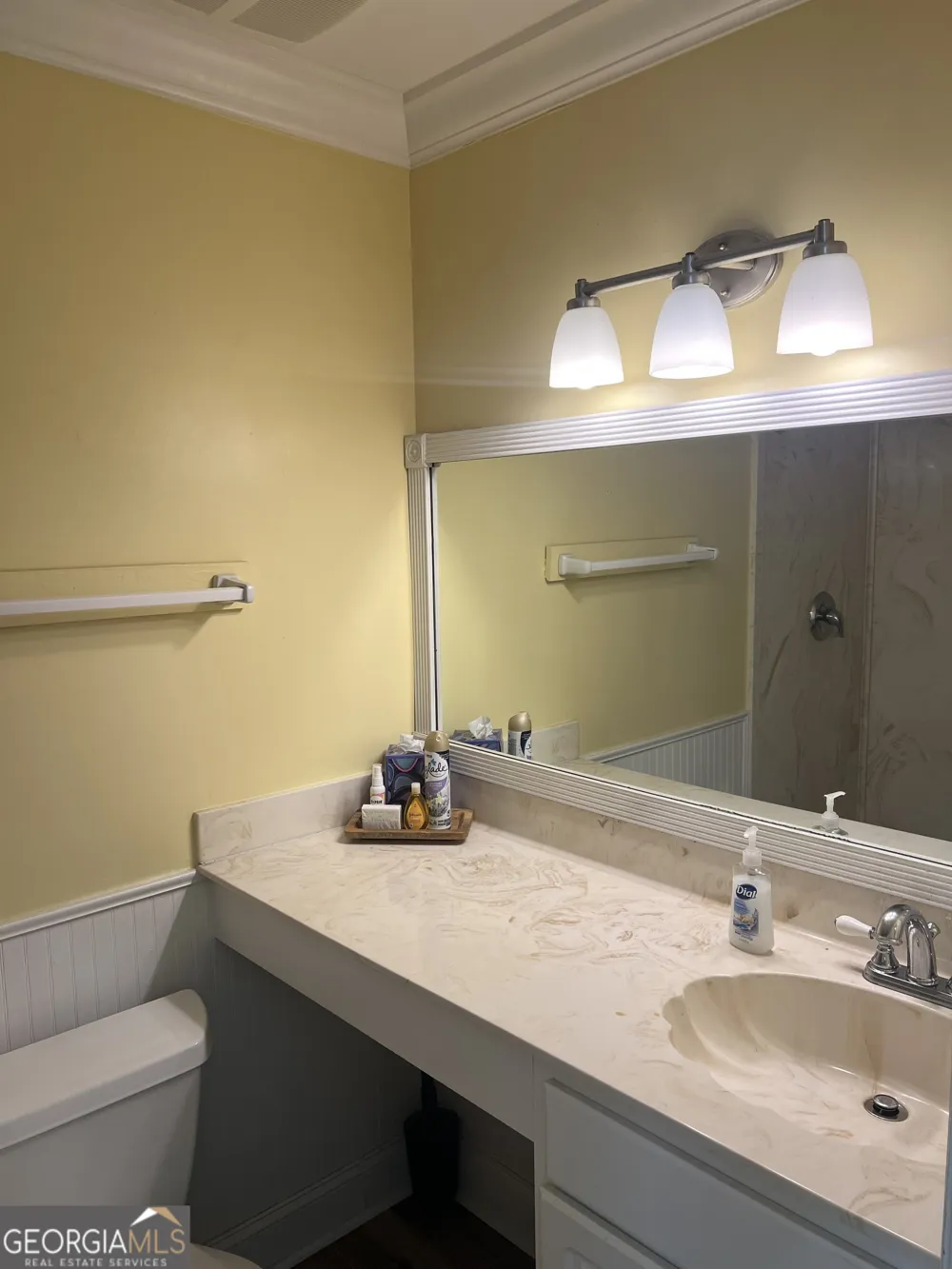 1175 N Beachview DR Jekyll Island, GA 31527