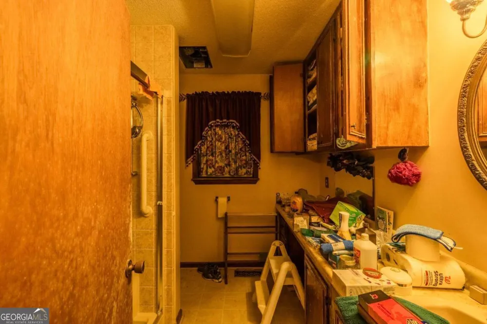 65 Eagle Chase CIR Dillard, GA 30537