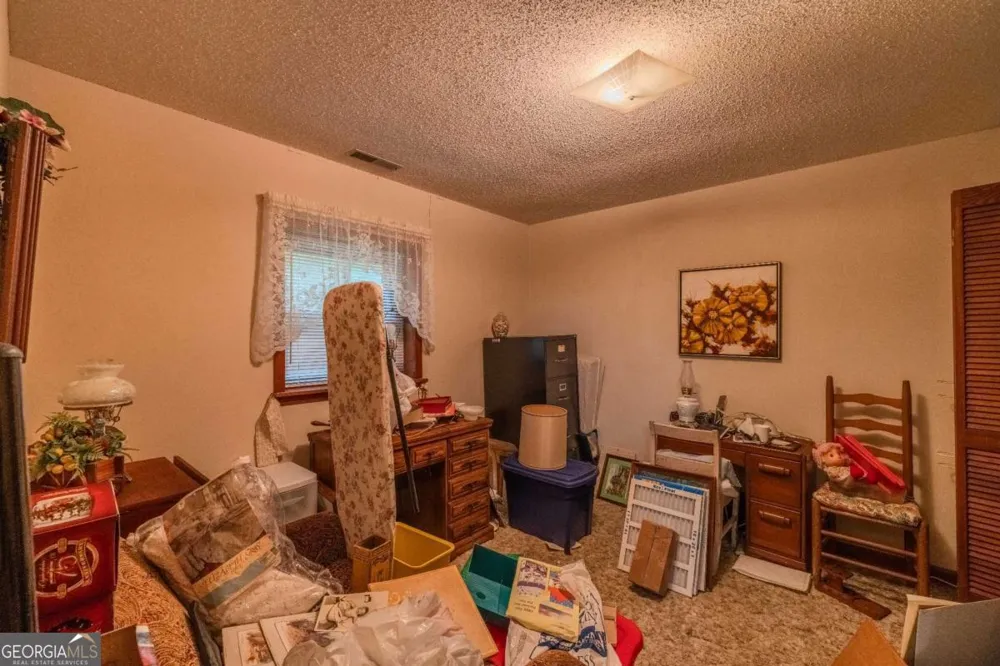 65 Eagle Chase CIR Dillard, GA 30537