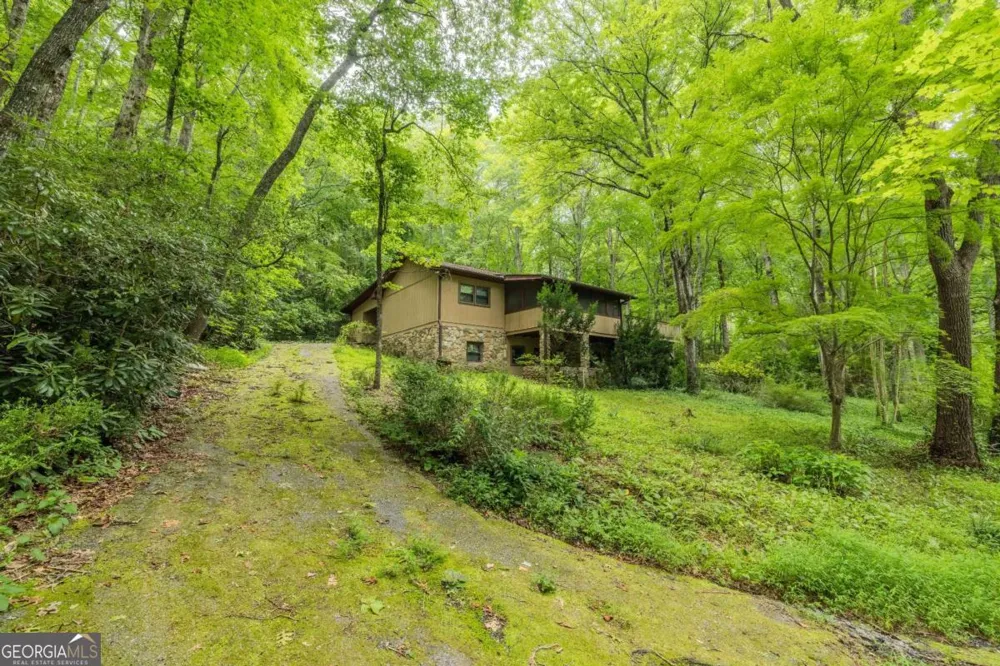 65 Eagle Chase CIR Dillard, GA 30537