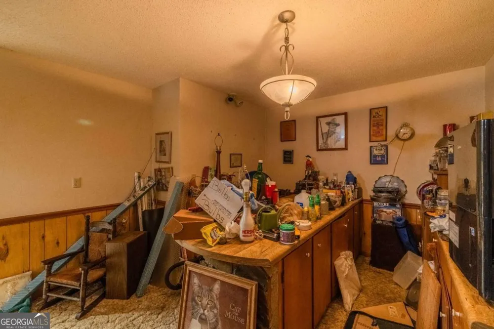 65 Eagle Chase CIR Dillard, GA 30537