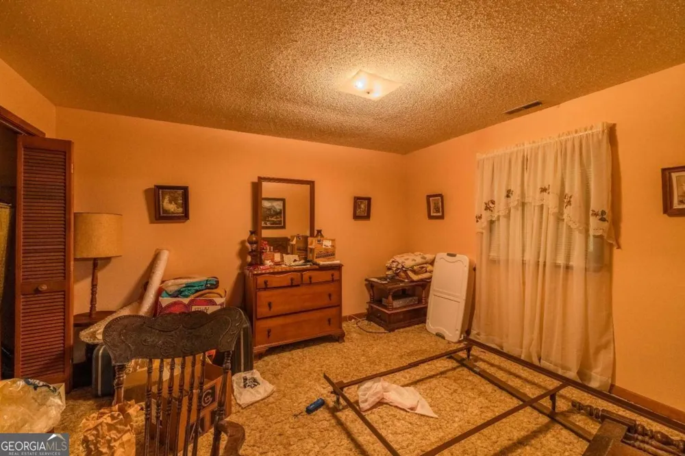 65 Eagle Chase CIR Dillard, GA 30537