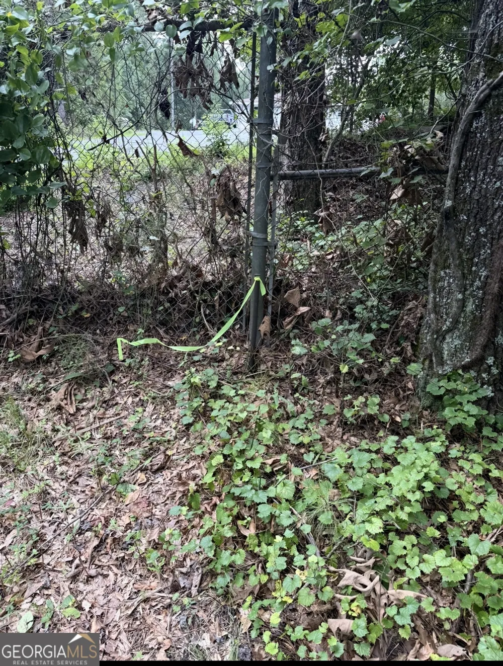3343 Powder Springs RD Powder Springs, GA 30127