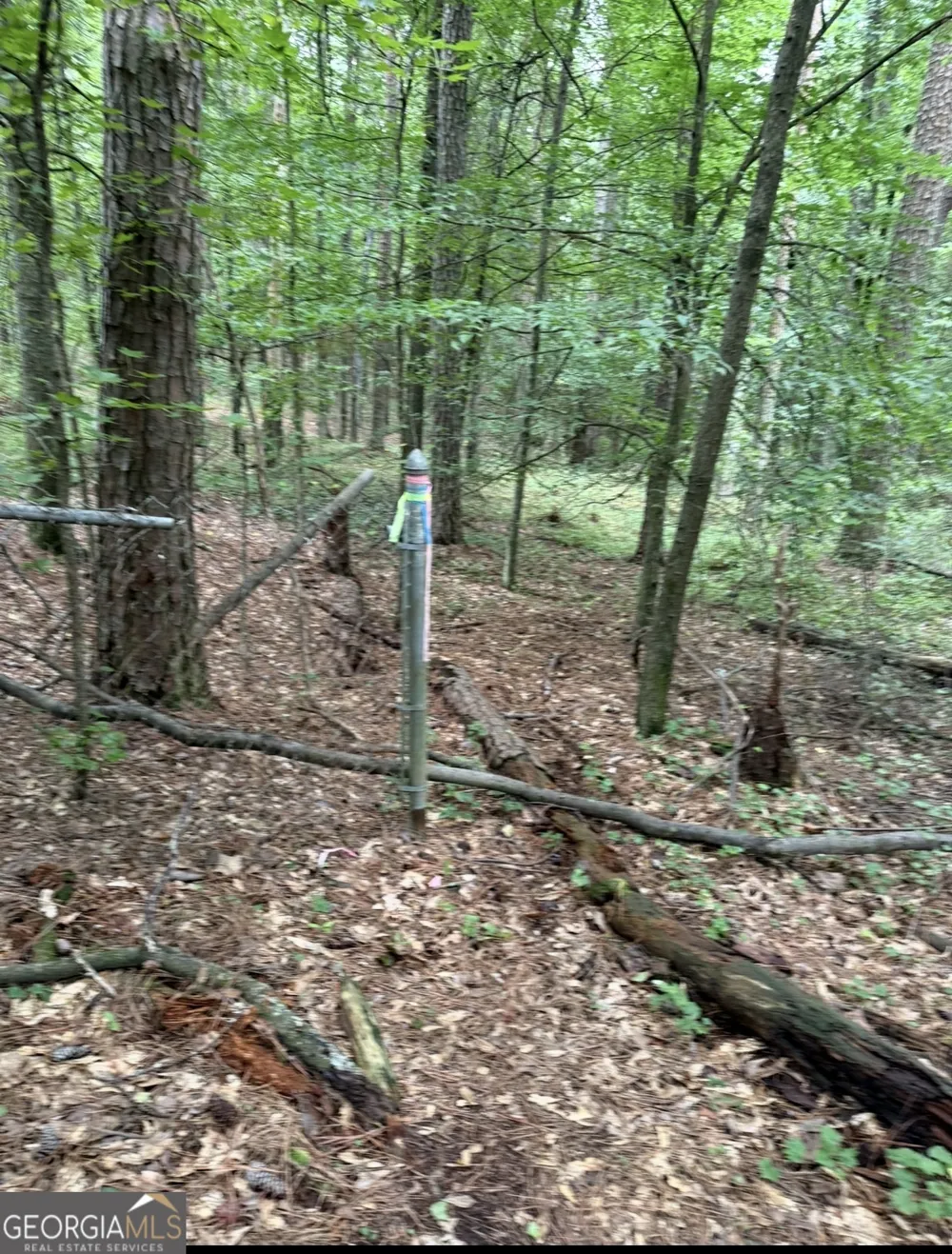 3343 Powder Springs RD Powder Springs, GA 30127