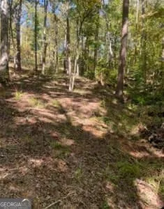 48 Franklin RD Eatonton, GA 31024