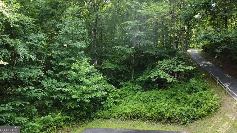 30A Trillium Heights Hayesville, NC 28904