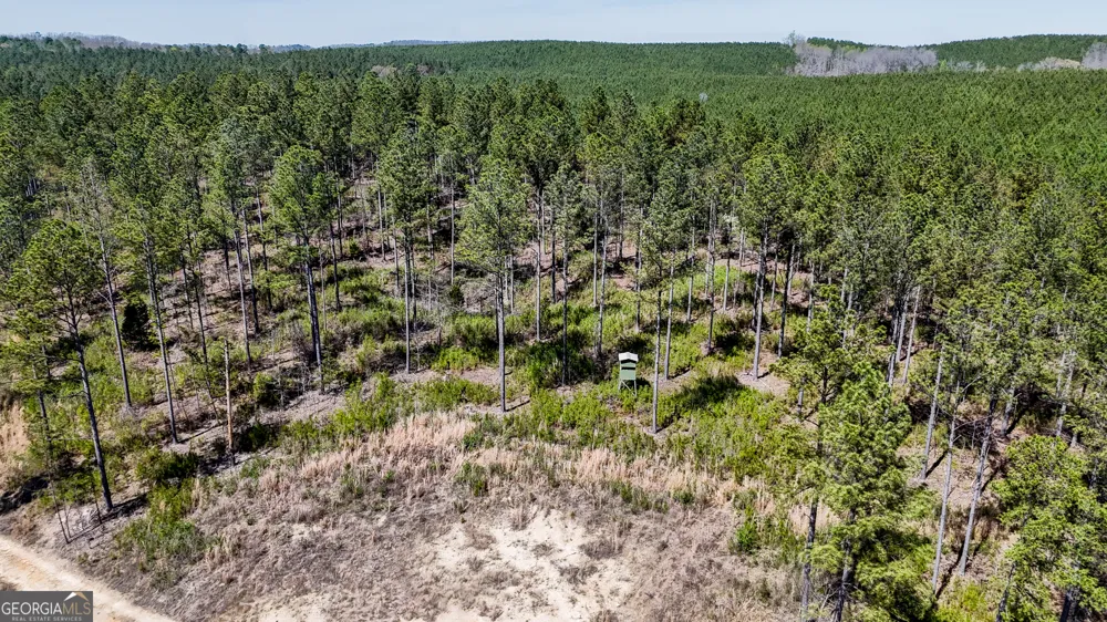 28 ACRES Youngs Farm RD Cedartown, GA 30125