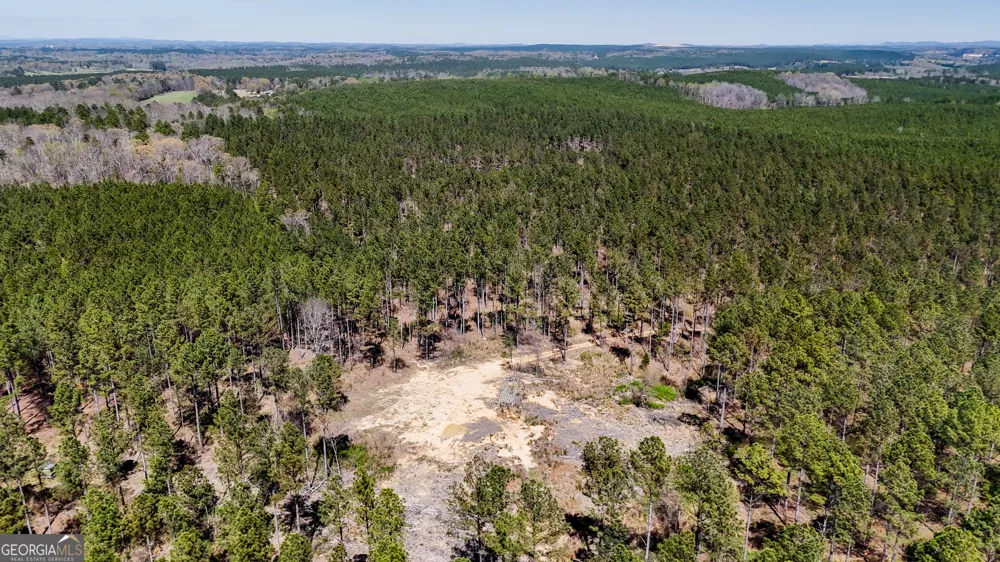28 ACRES Youngs Farm RD Cedartown, GA 30125