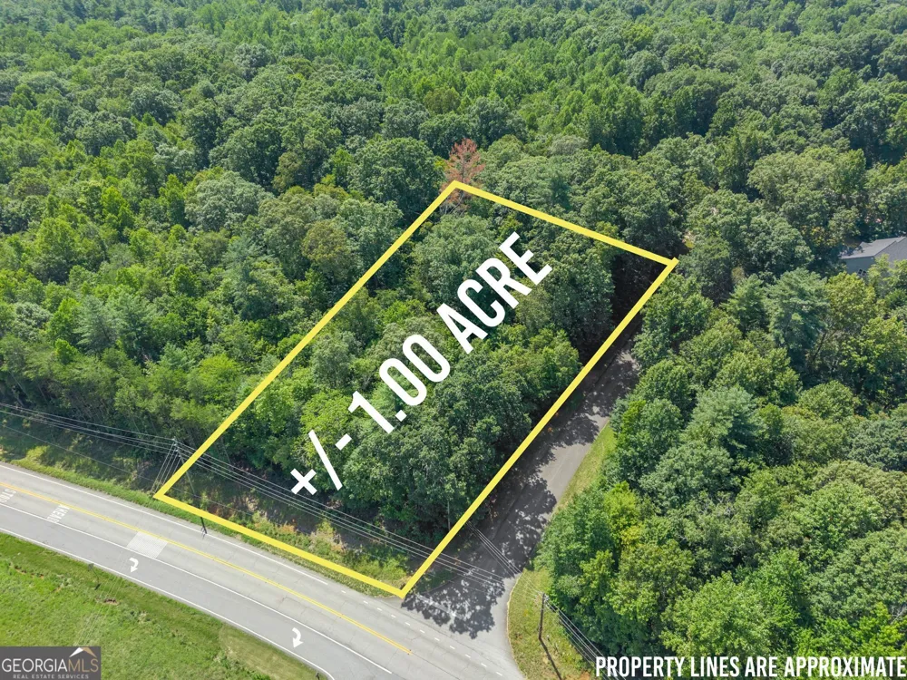 0 Hwy 255 Cleveland, GA 30528