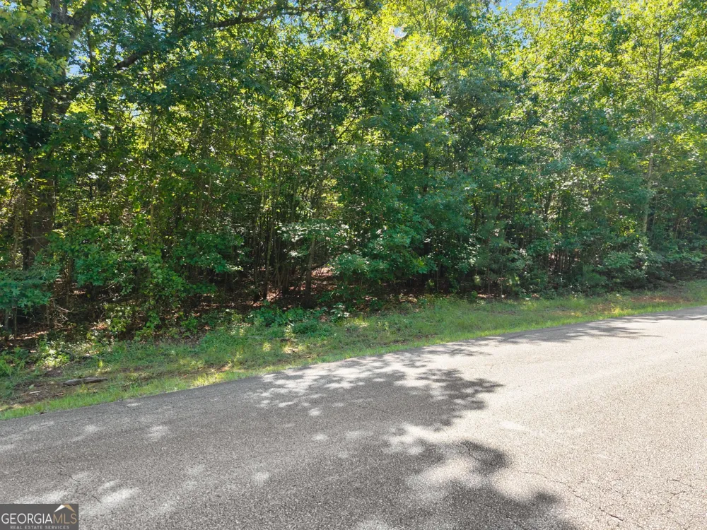 0 Hwy 255 Cleveland, GA 30528
