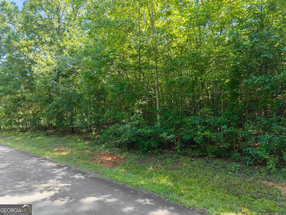 0 Hwy 255 Cleveland, GA 30528