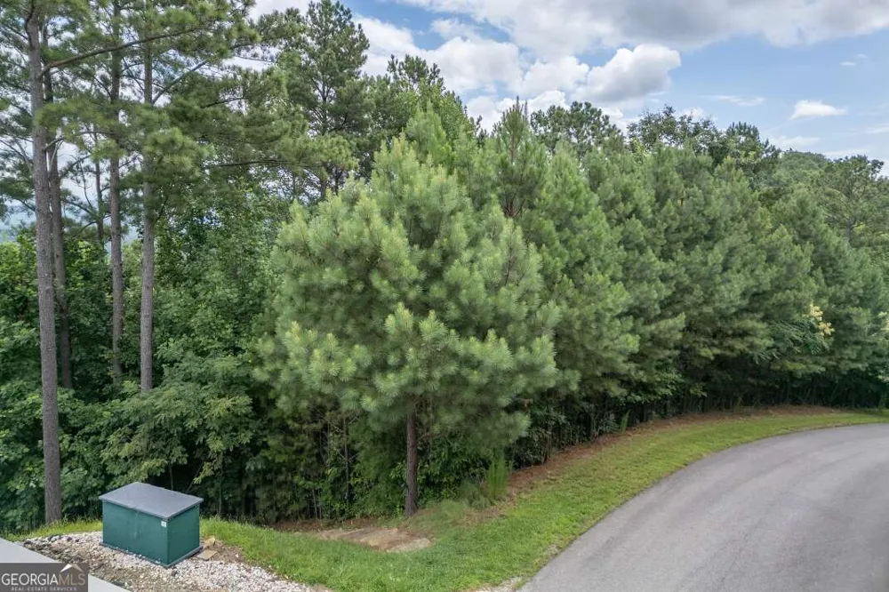 LOT 82 Thirteen Hundred Blairsville, GA 30512