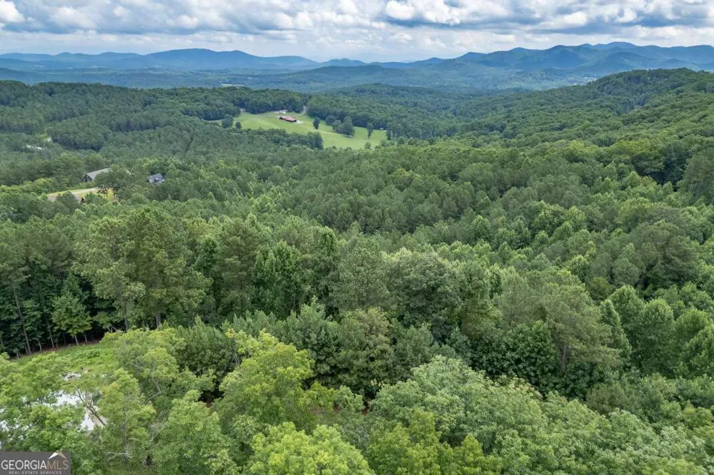 LOT 82 Thirteen Hundred Blairsville, GA 30512