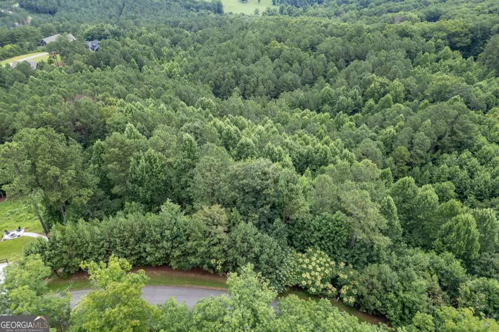 LOT 82 Thirteen Hundred Blairsville, GA 30512