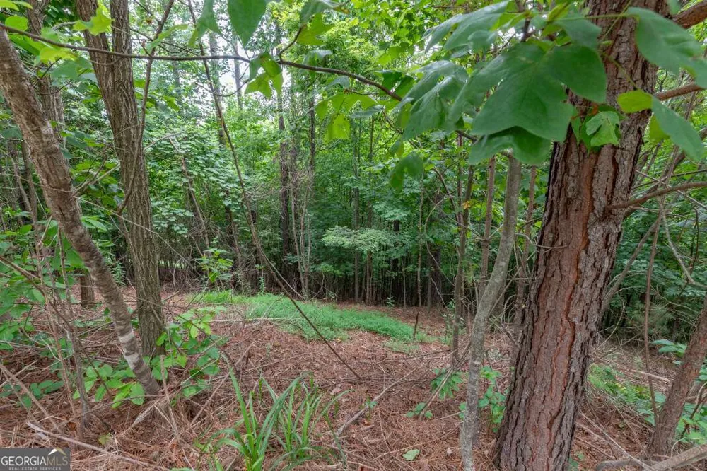 LOT 82 Thirteen Hundred Blairsville, GA 30512