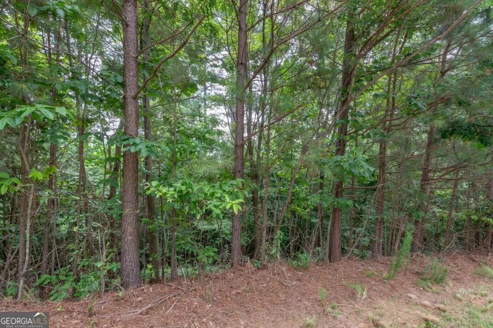 LOT 82 Thirteen Hundred Blairsville, GA 30512