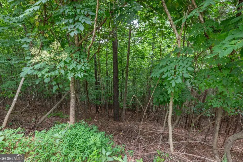 LOT 82 Thirteen Hundred Blairsville, GA 30512