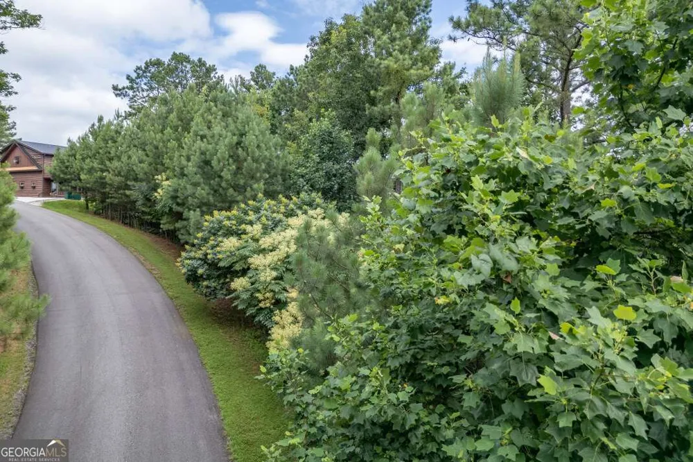 LOT 82 Thirteen Hundred Blairsville, GA 30512