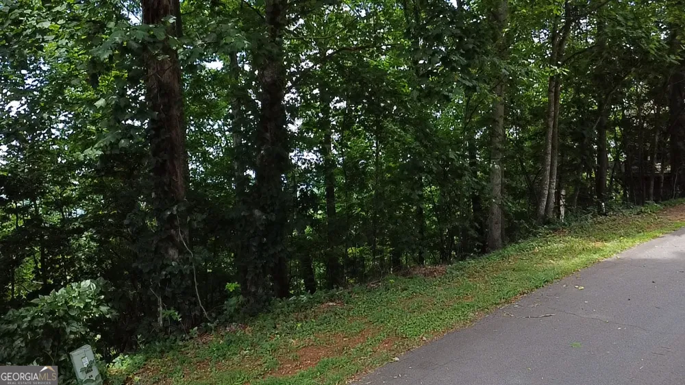 27 Harris Ridge RD Young Harris, GA 30582