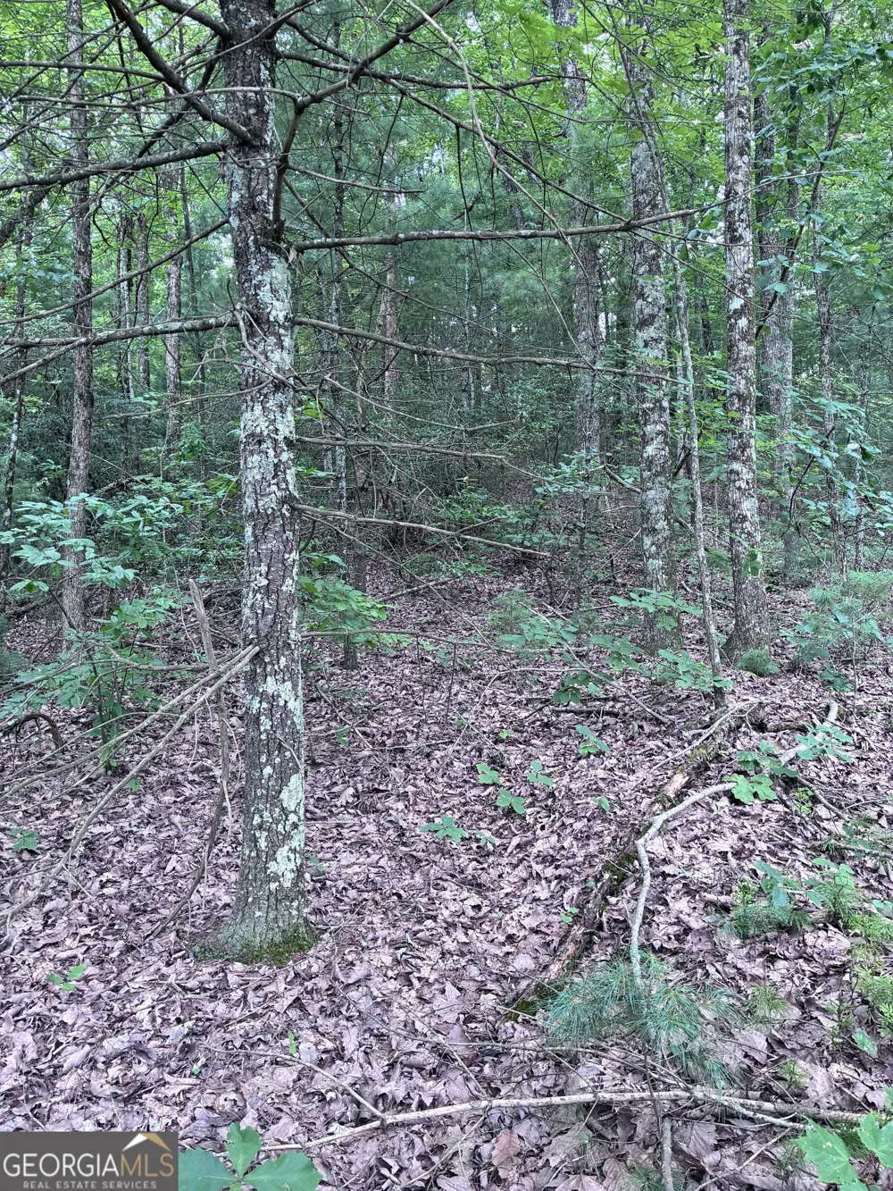 829 Morton DR Ellijay, GA 30540