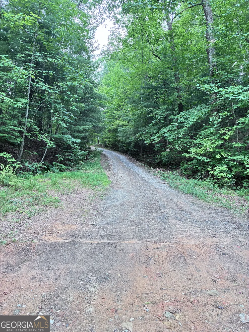829 Morton DR Ellijay, GA 30540