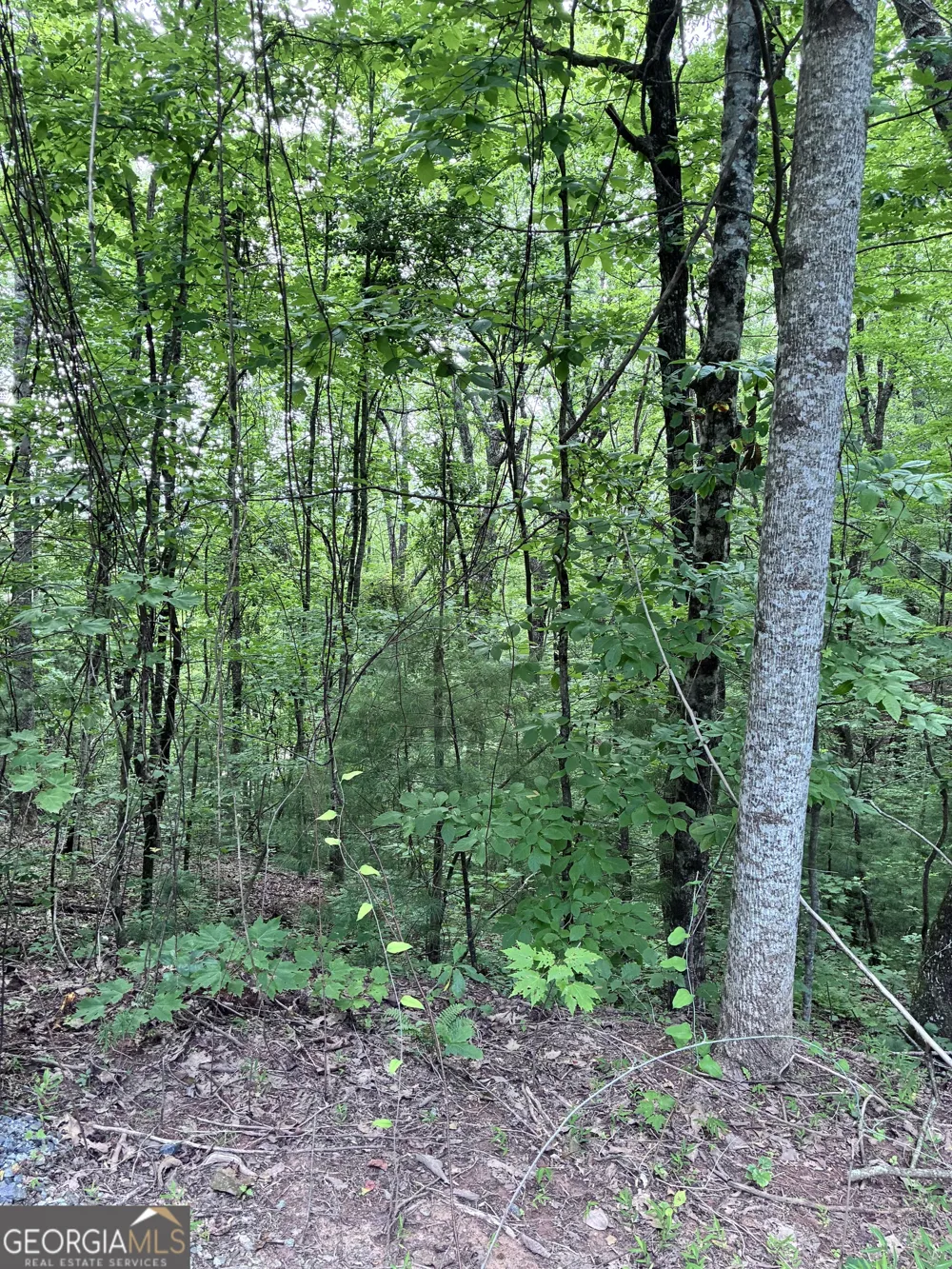 829 Morton DR Ellijay, GA 30540