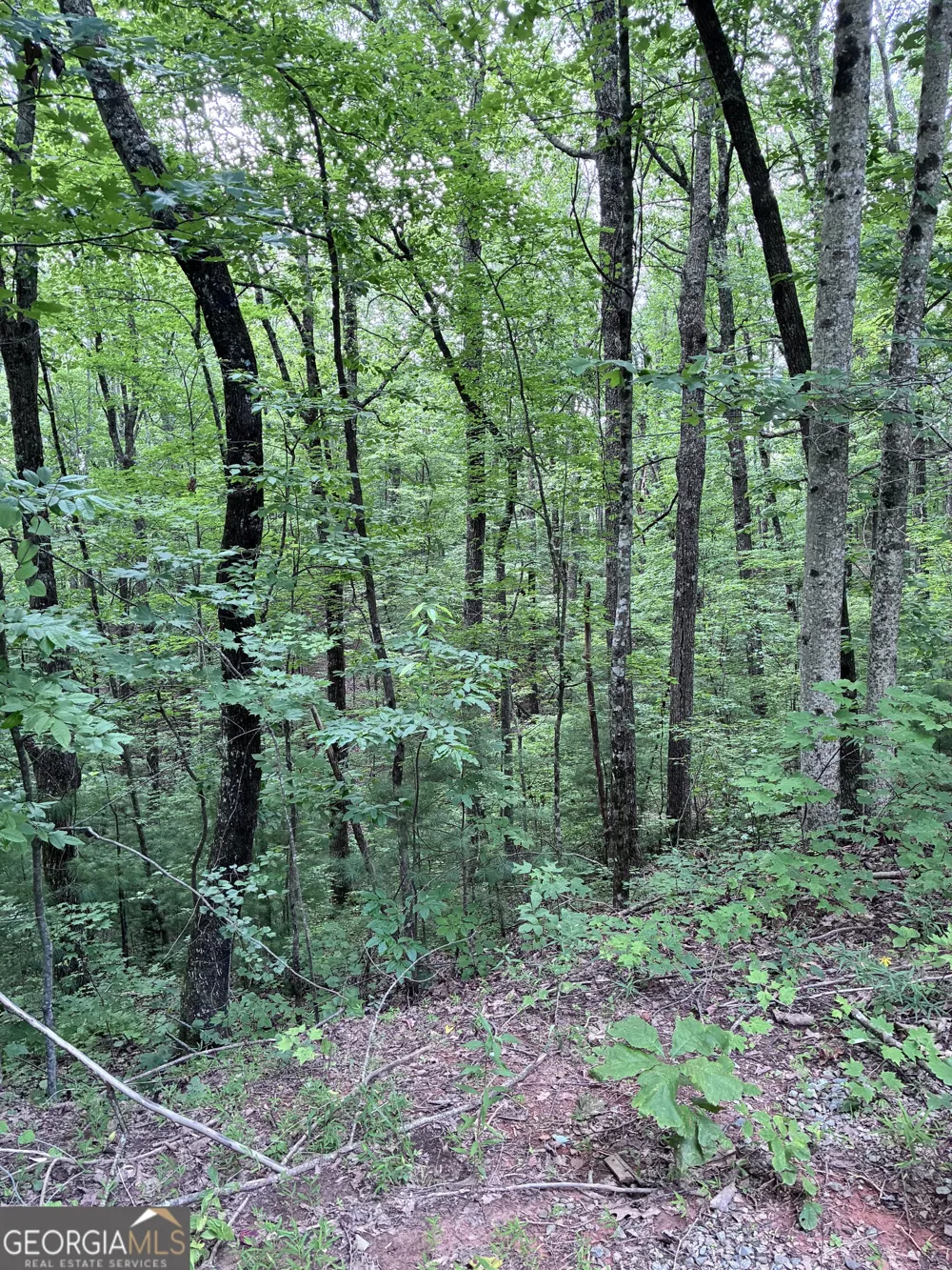 829 Morton DR Ellijay, GA 30540