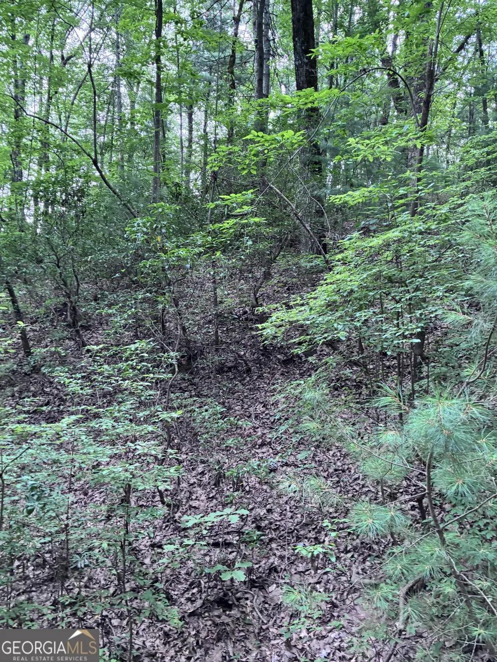 829 Morton DR Ellijay, GA 30540