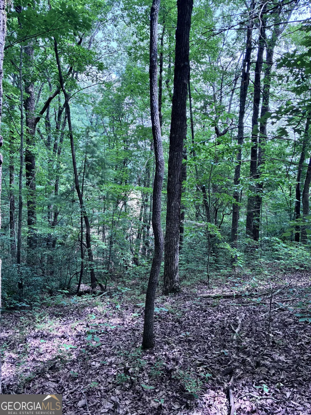 829 Morton DR Ellijay, GA 30540