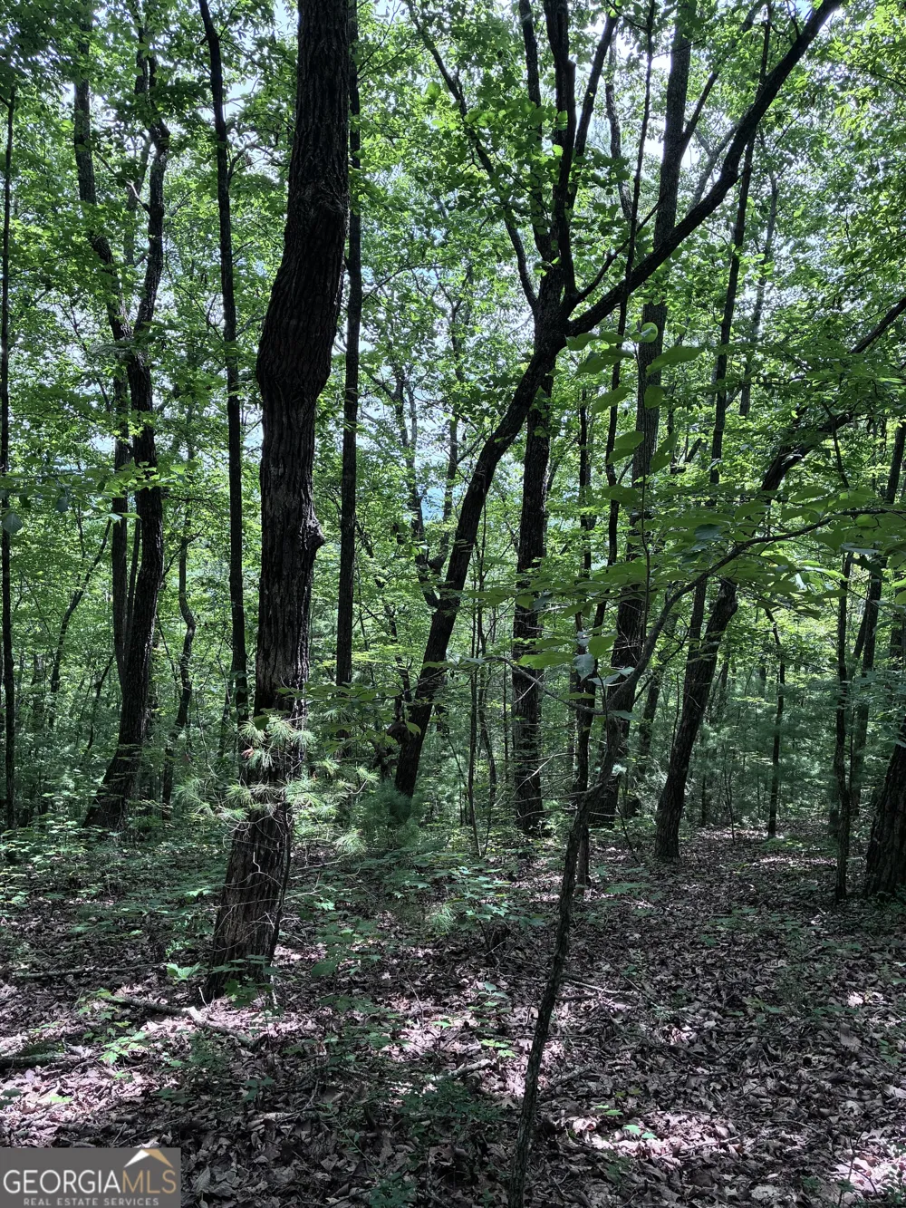 829 Morton DR Ellijay, GA 30540