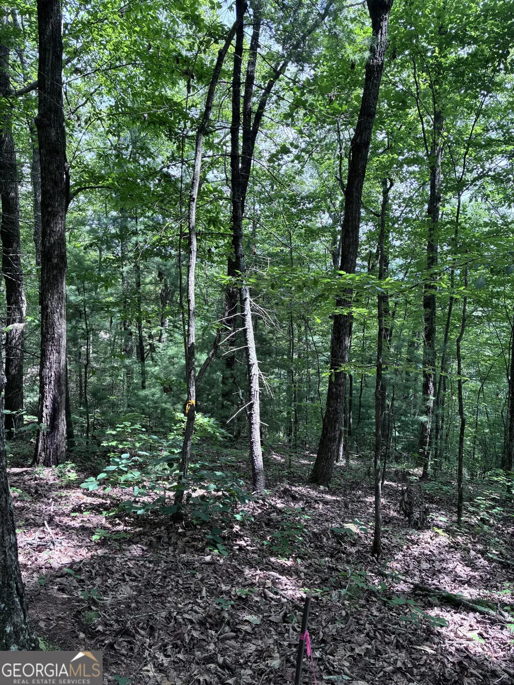 829 Morton DR Ellijay, GA 30540