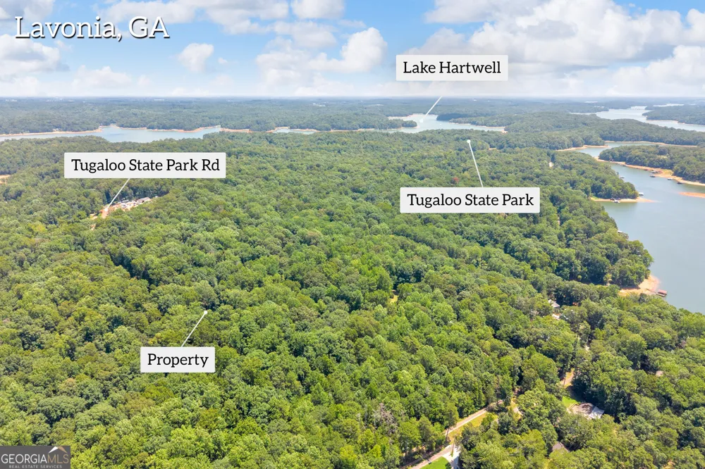 0 De La Taix DR Lavonia, GA 30553