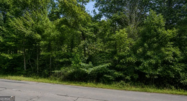 LOT 38 Shattuck Industrial BLVD LaFayette, GA 30728