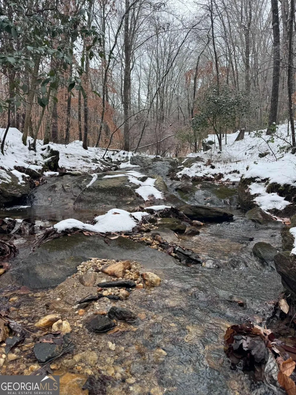 0 Lone Bear PATH Dallas, GA 30132