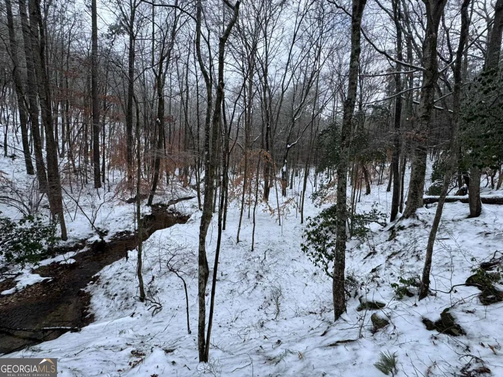 0 Lone Bear PATH Dallas, GA 30132