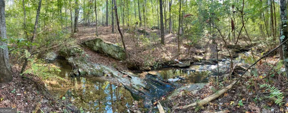 0 Lone Bear PATH Dallas, GA 30132