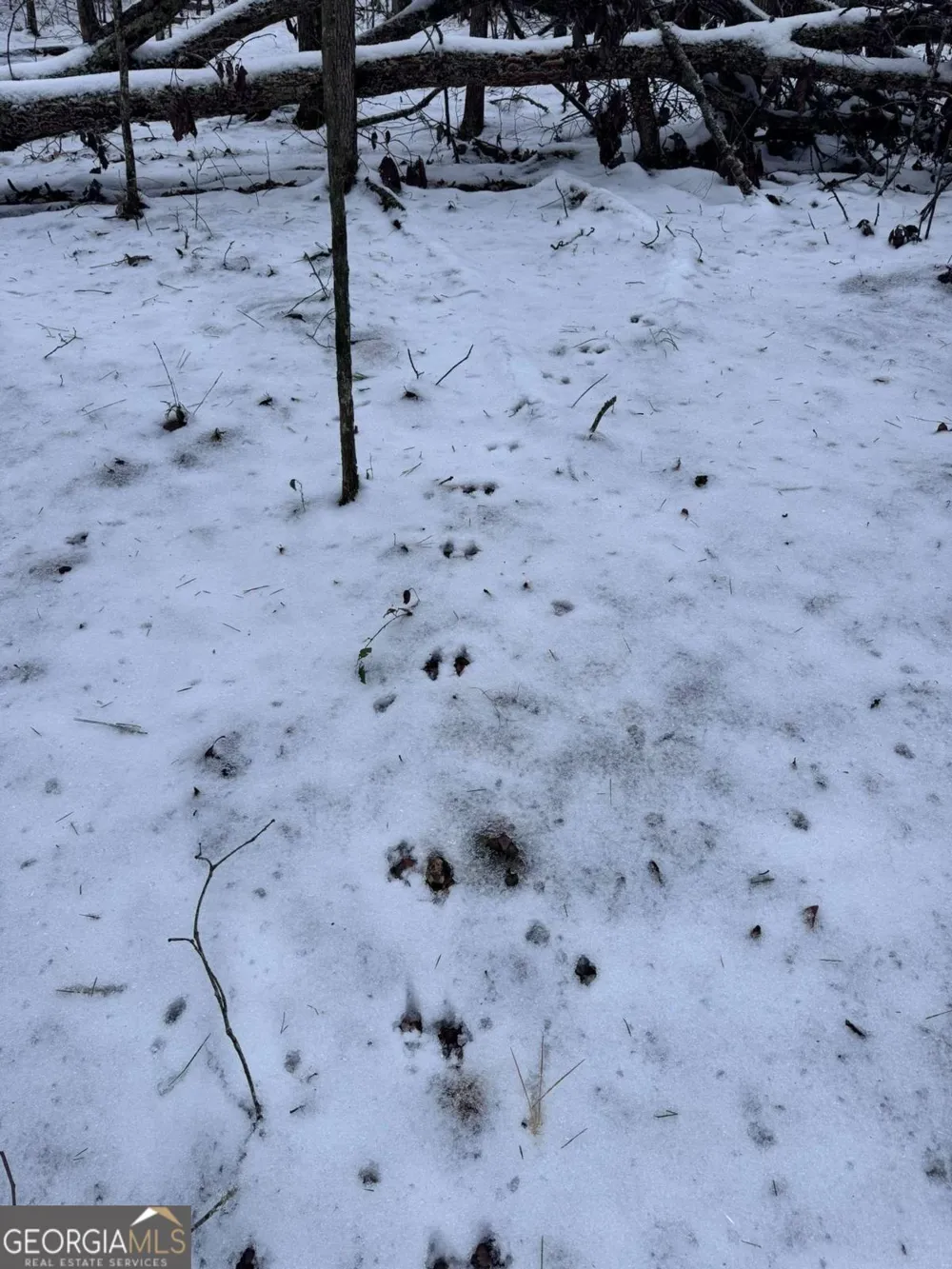 0 Lone Bear PATH Dallas, GA 30132