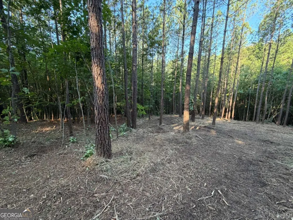 0 Lone Bear PATH Dallas, GA 30132
