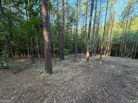 0 Lone Bear PATH
