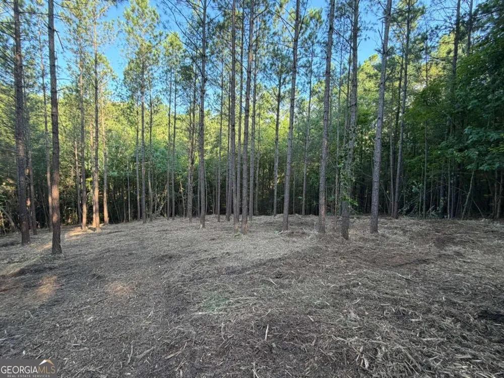 0 Lone Bear PATH Dallas, GA 30132