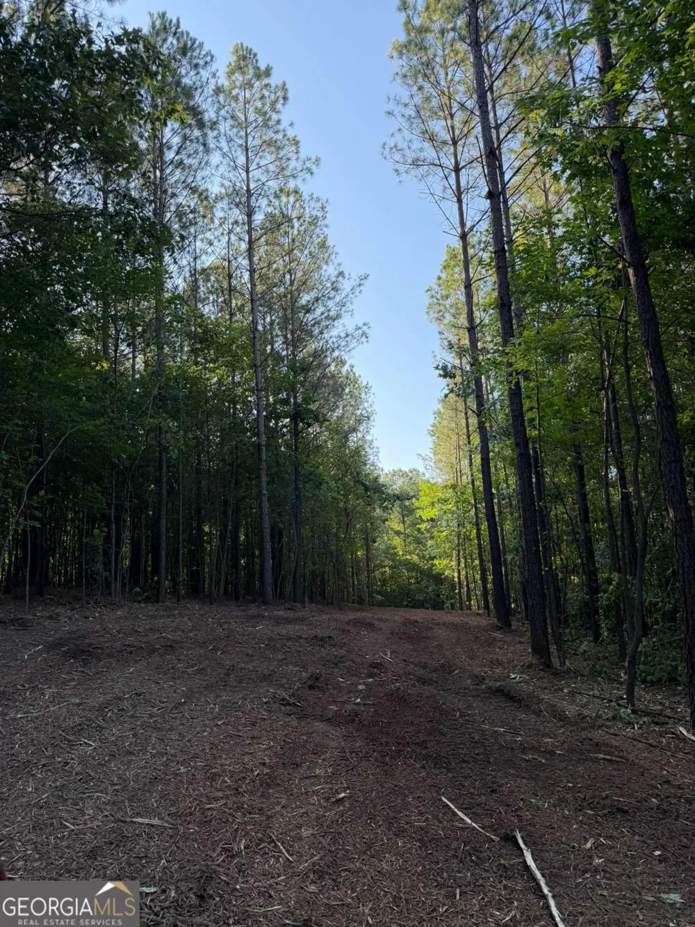 0 Lone Bear PATH Dallas, GA 30132