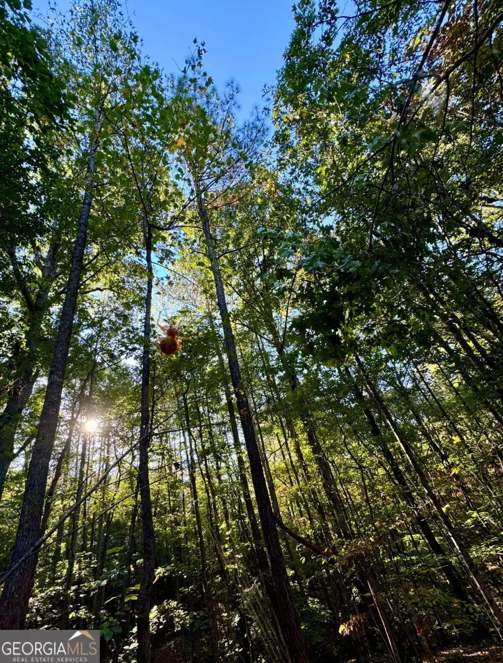 0 Lone Bear PATH Dallas, GA 30132