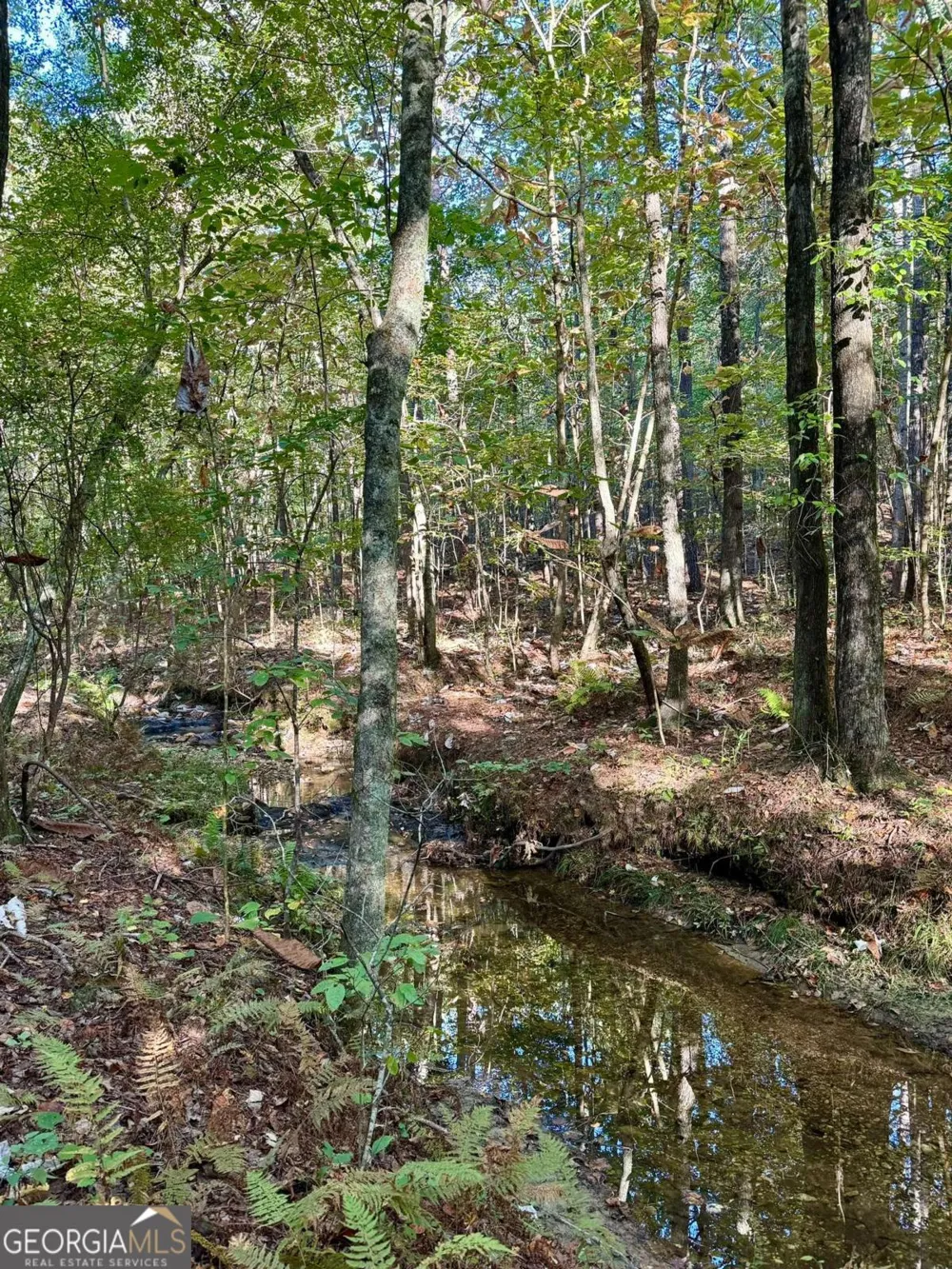 0 Lone Bear PATH Dallas, GA 30132