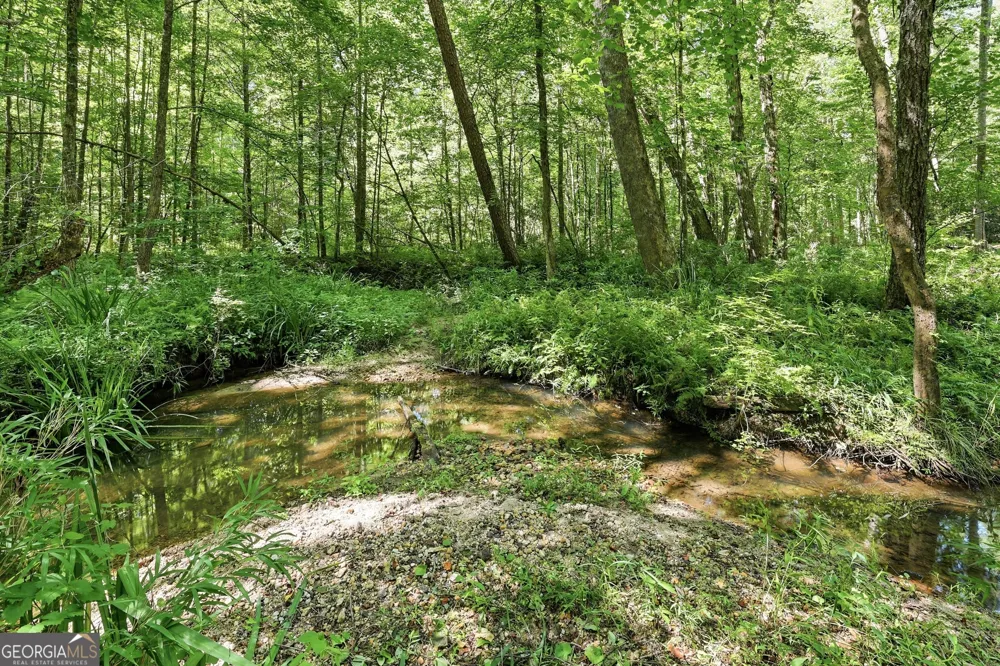 527 Jim Carter RD Clarkesville, GA 30523