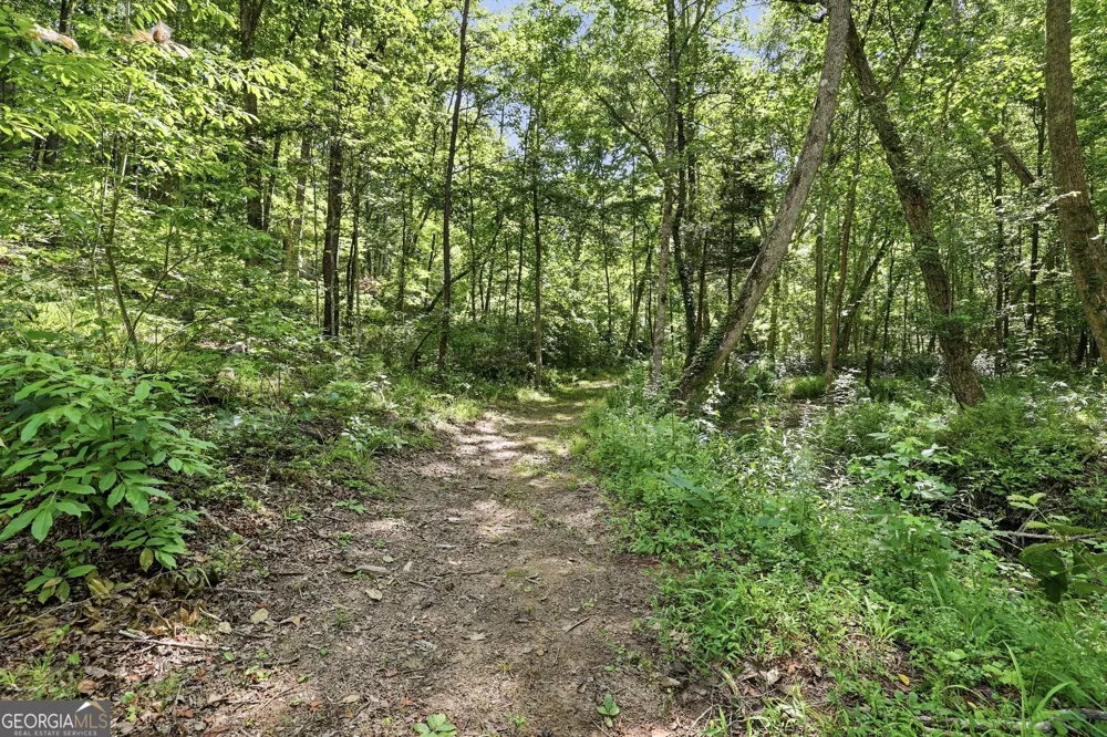 527 Jim Carter RD Clarkesville, GA 30523