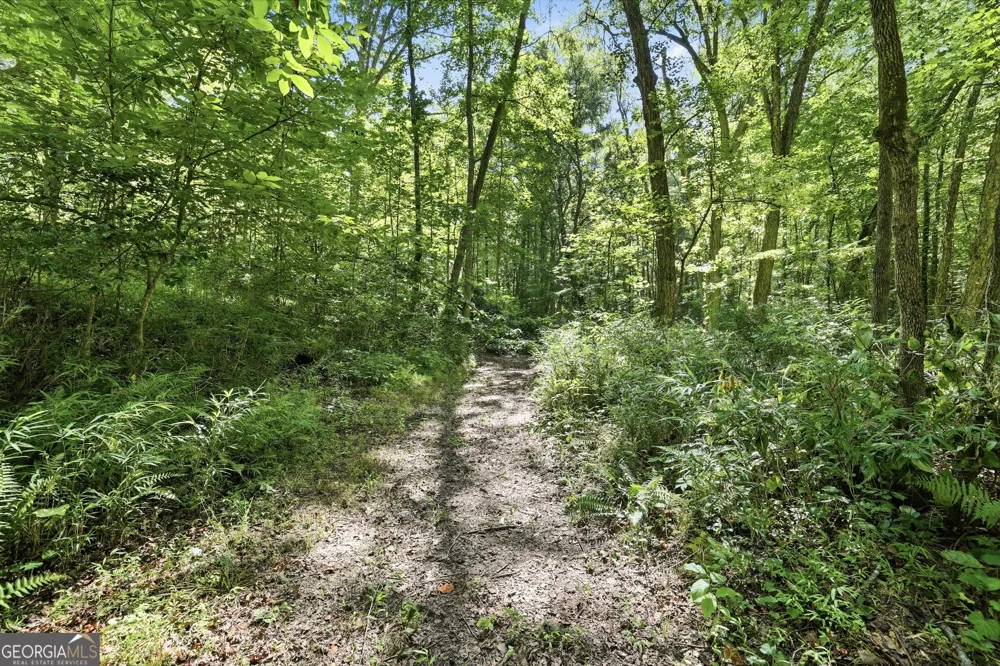 527 Jim Carter RD Clarkesville, GA 30523