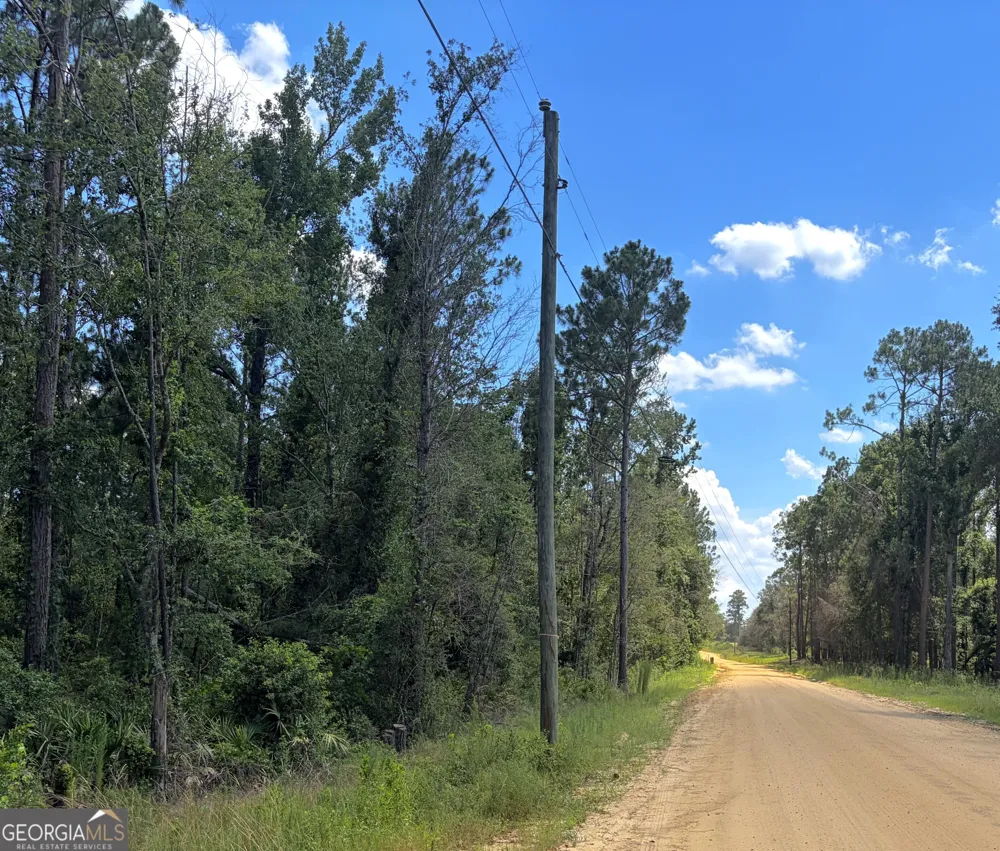 0 Ernest Carter RD Hazlehurst, GA 31539