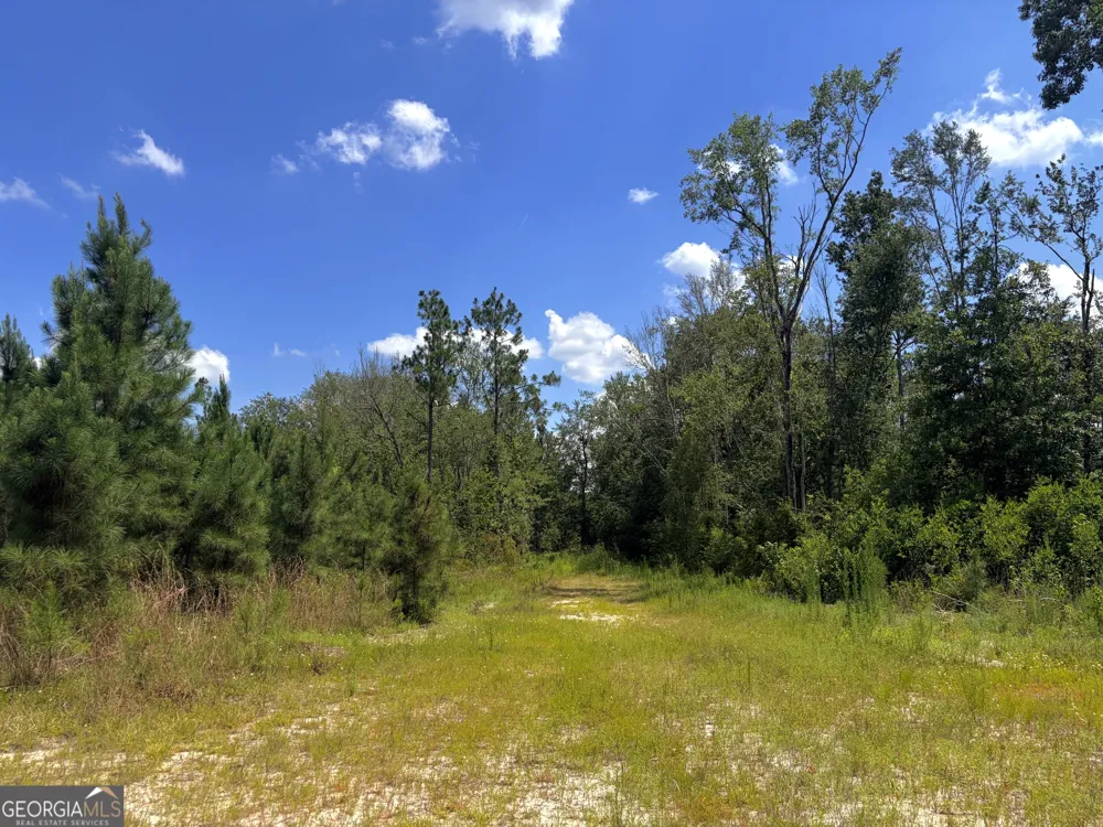 0 Ernest Carter RD Hazlehurst, GA 31539
